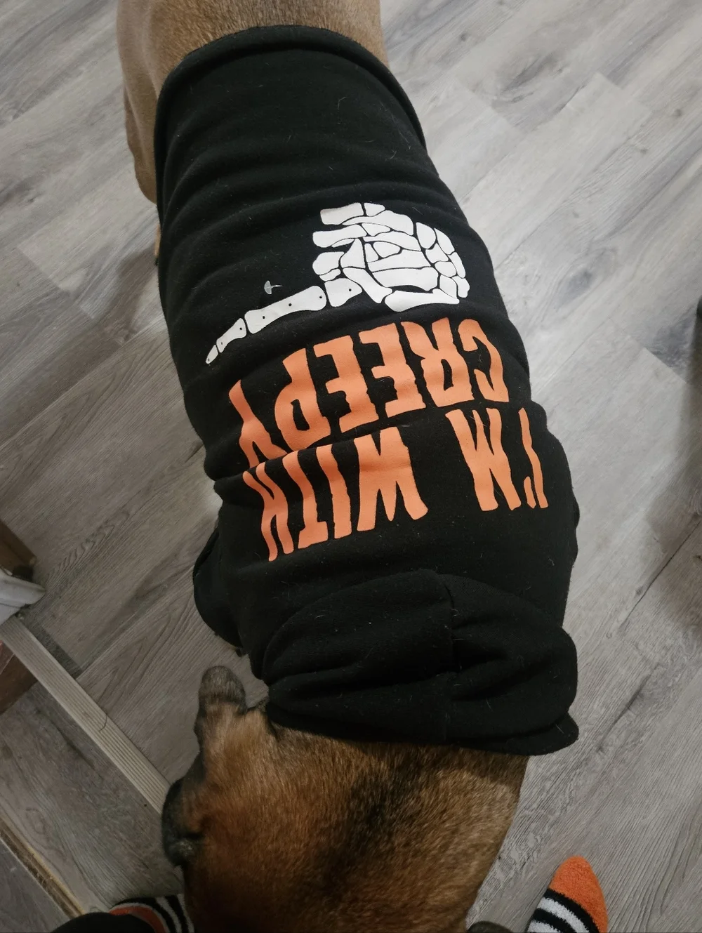 Pet Halloween Hoodie - Black 